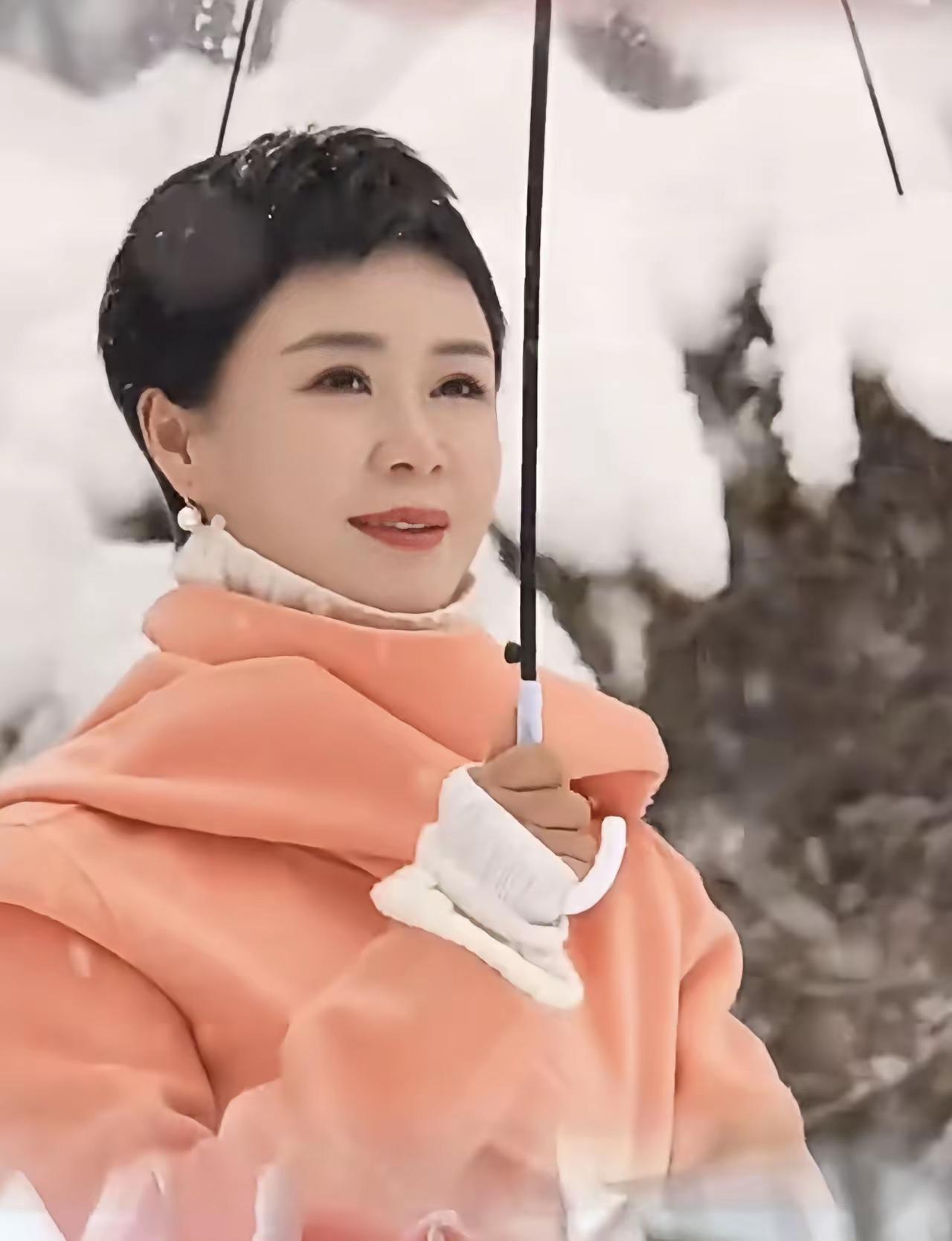 人民日报：“这朵花，就叫‘娇龙’吧！”[加油]云南农科所新培育的“国风月季”，