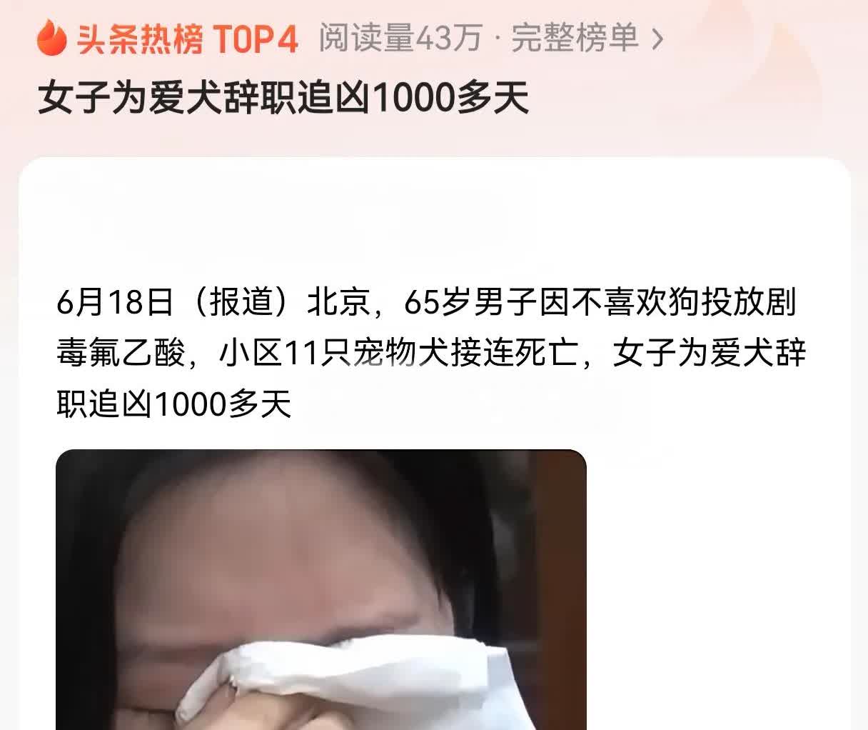 这些人真是把宠物当成了自己的父母，那你带你父母出门的时候为什么不拴绳，不戴狗套呢