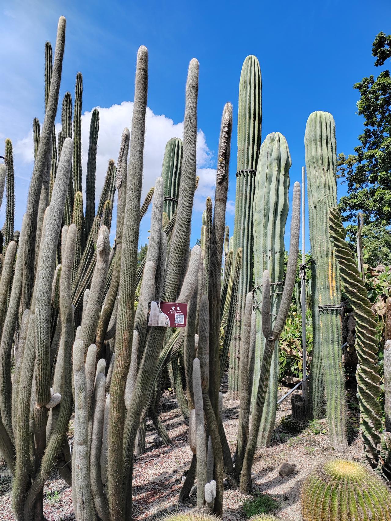 耐心持有券商，一定会有收获，只是早涨晚涨而已，始终保持信心，就怕你这山望着那山高