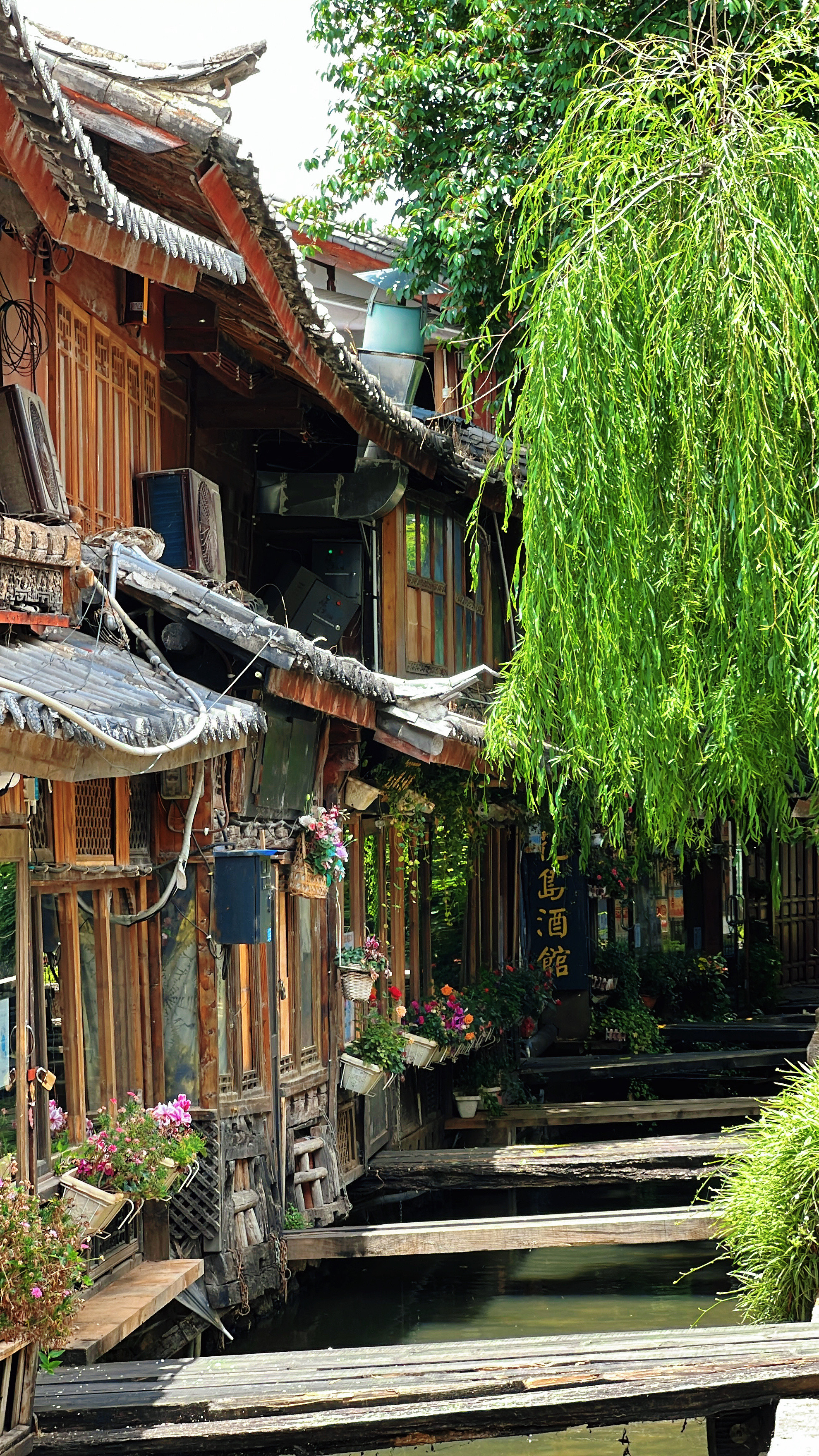 来丽江别瞎逛！本地人压箱底的一日游，从早爽到晚，照着走准没错！早上7点半，先去黑