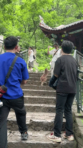 逗猴玩儿，它会不会突然发飙？