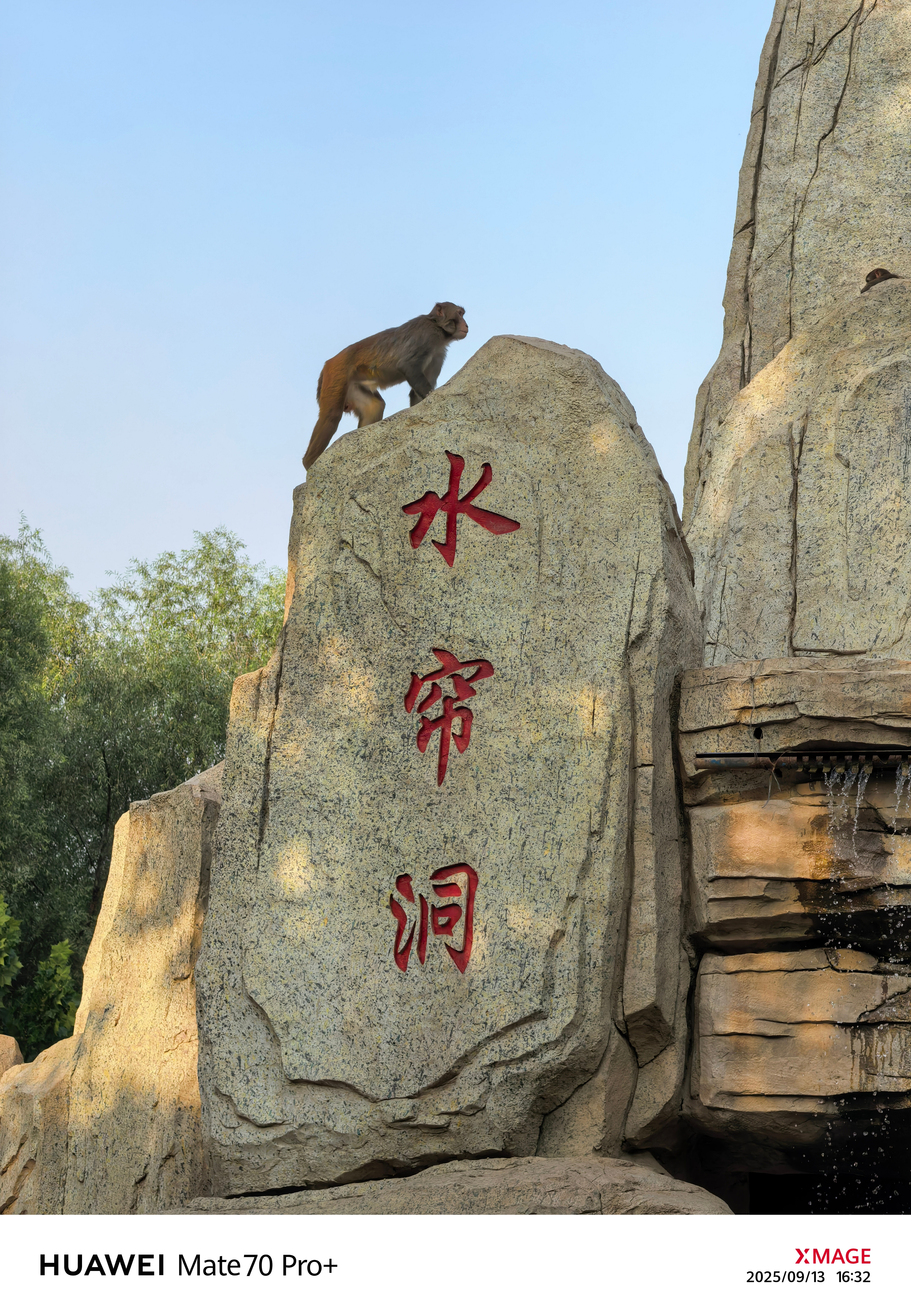 不得不说，猴子是真灵活​​​