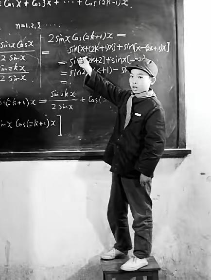 1991年这一年，两个中国天才在海外的命运令人唏嘘。谢彦波是个数学神童，小学三年