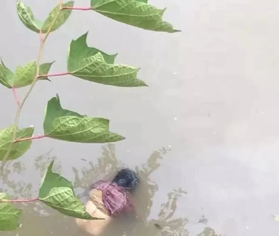 突发！攀枝花公园惊现浮尸，现场画面曝光近日下午，攀枝花公园附近水域惊现一