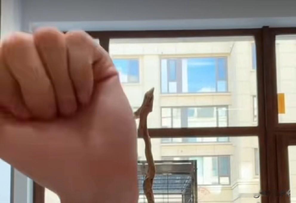 T佑爆料“源佑手”哥仨现金流存款，T佑评价“源佑手”哥仨