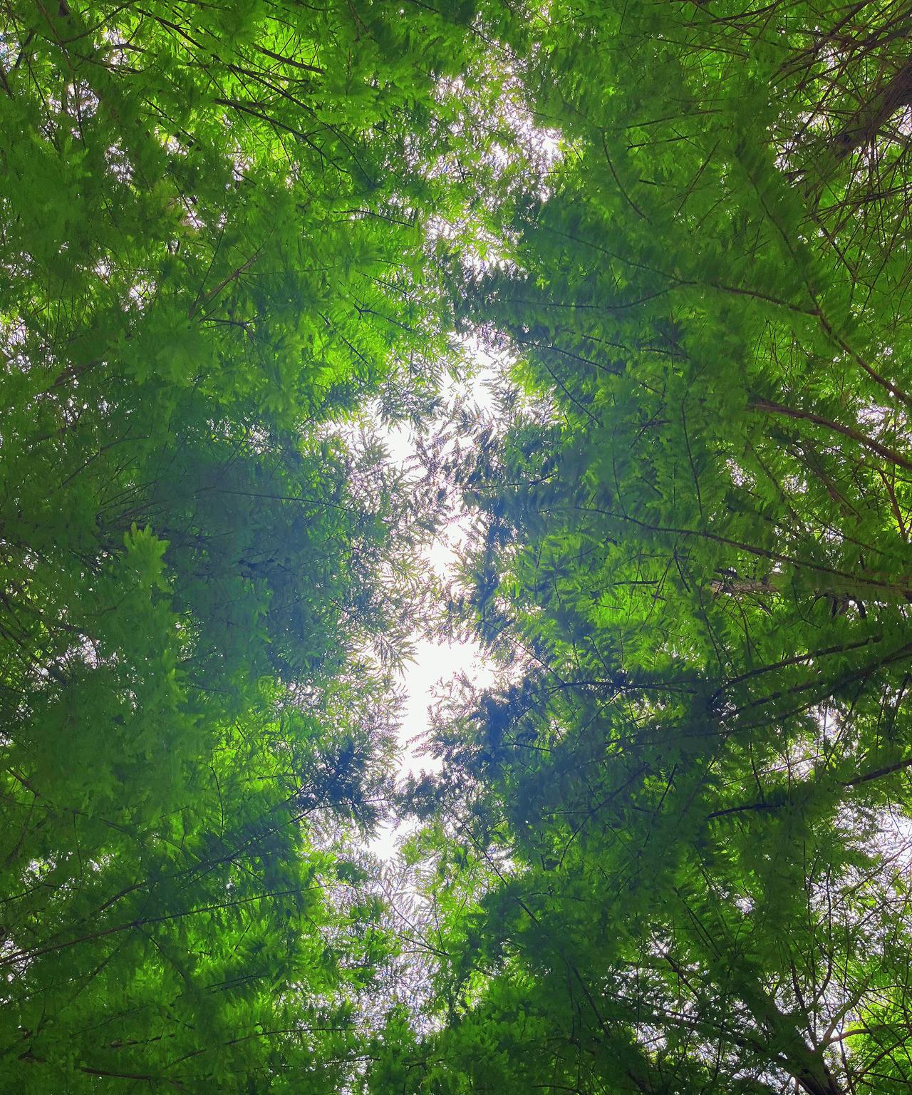 很火的一段话：“走好选择的路，别选择好走的路，生活是现实的，望梅不能止渴，画饼不