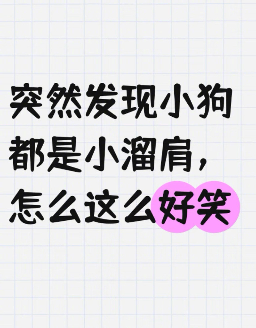 突然发现小狗都是溜肩