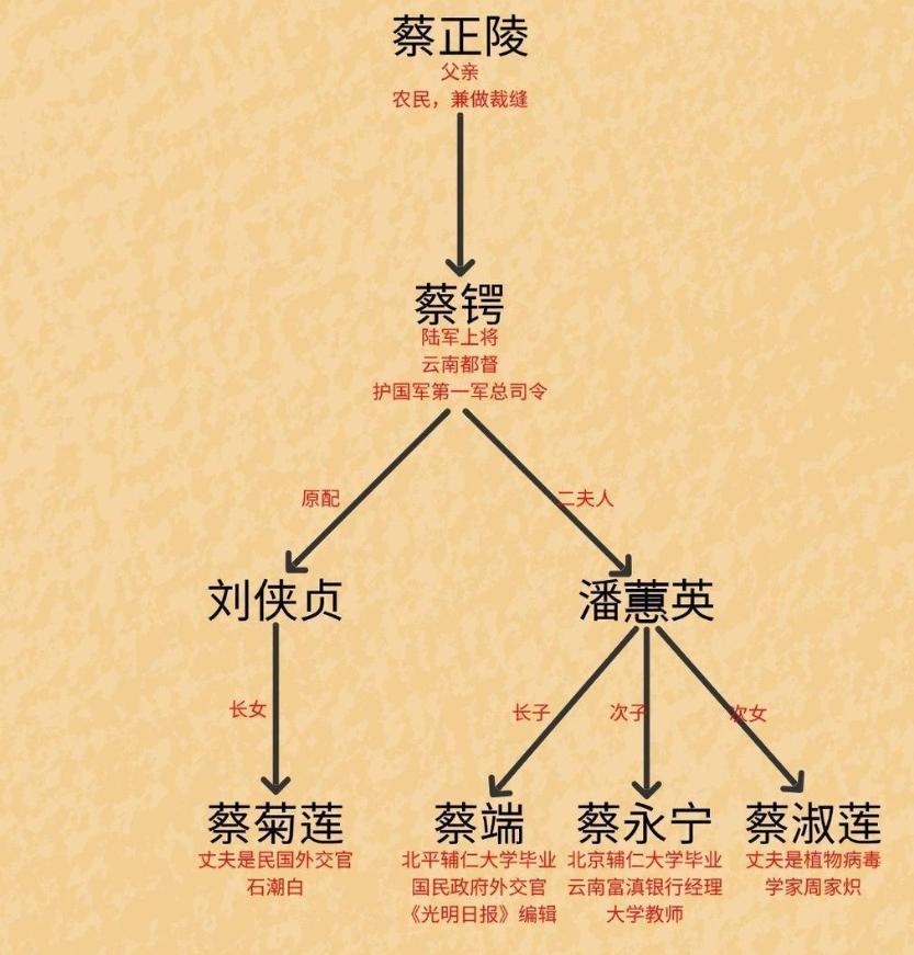 蔡锷4名子女的结局：1916年11月8日，蔡锷病逝于日本福冈，年仅34岁。