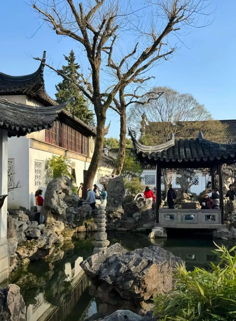 最近很火的一段话：“如果你的女儿突然告诉你，她以后不结婚，不生孩子，不想