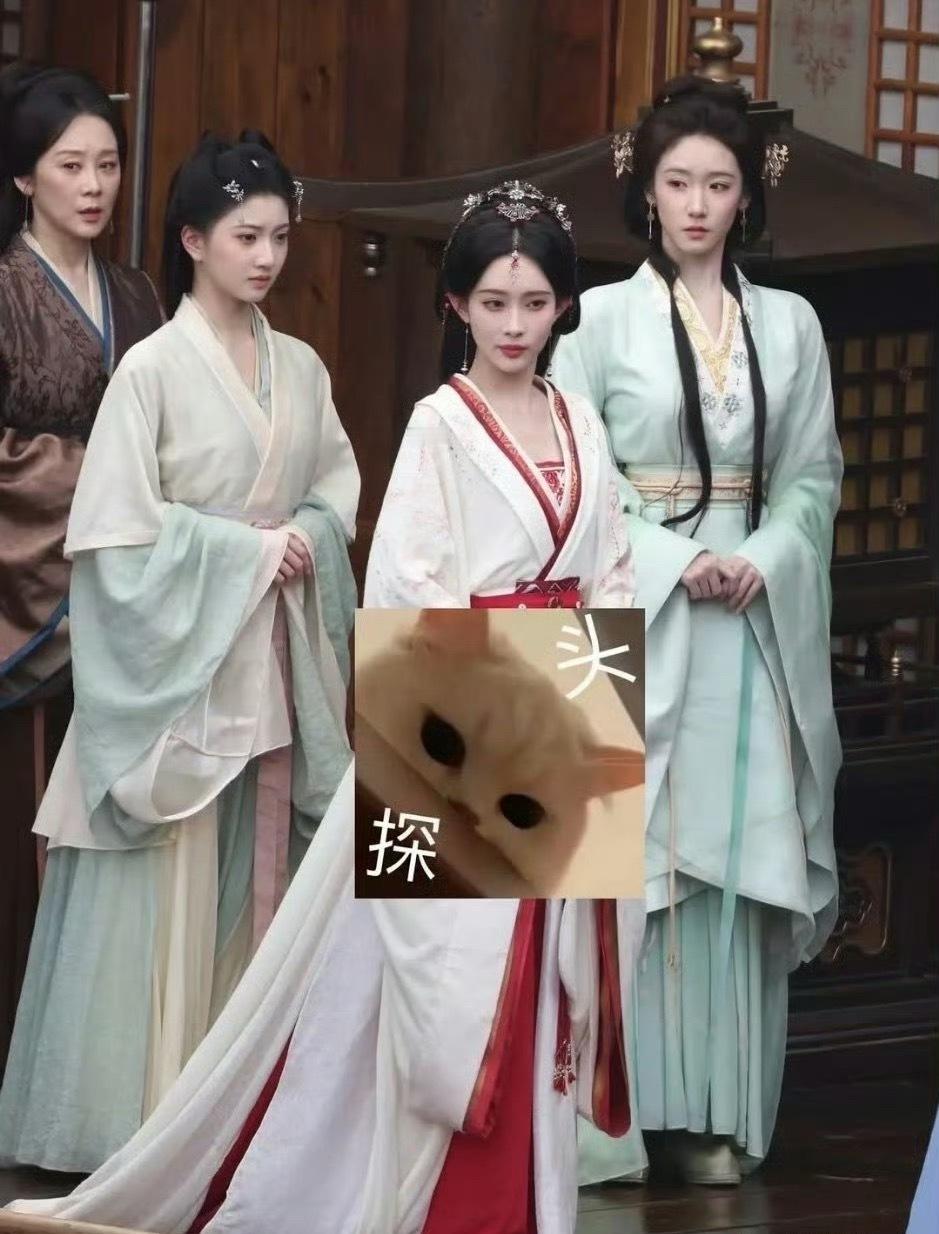 什么？景甜平替都有了……​​​
