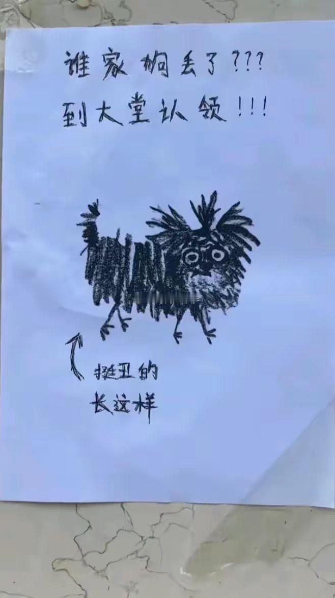 这么丑的狗还能丢了？？？真的假的啊~~~海阔试车超话​​​
