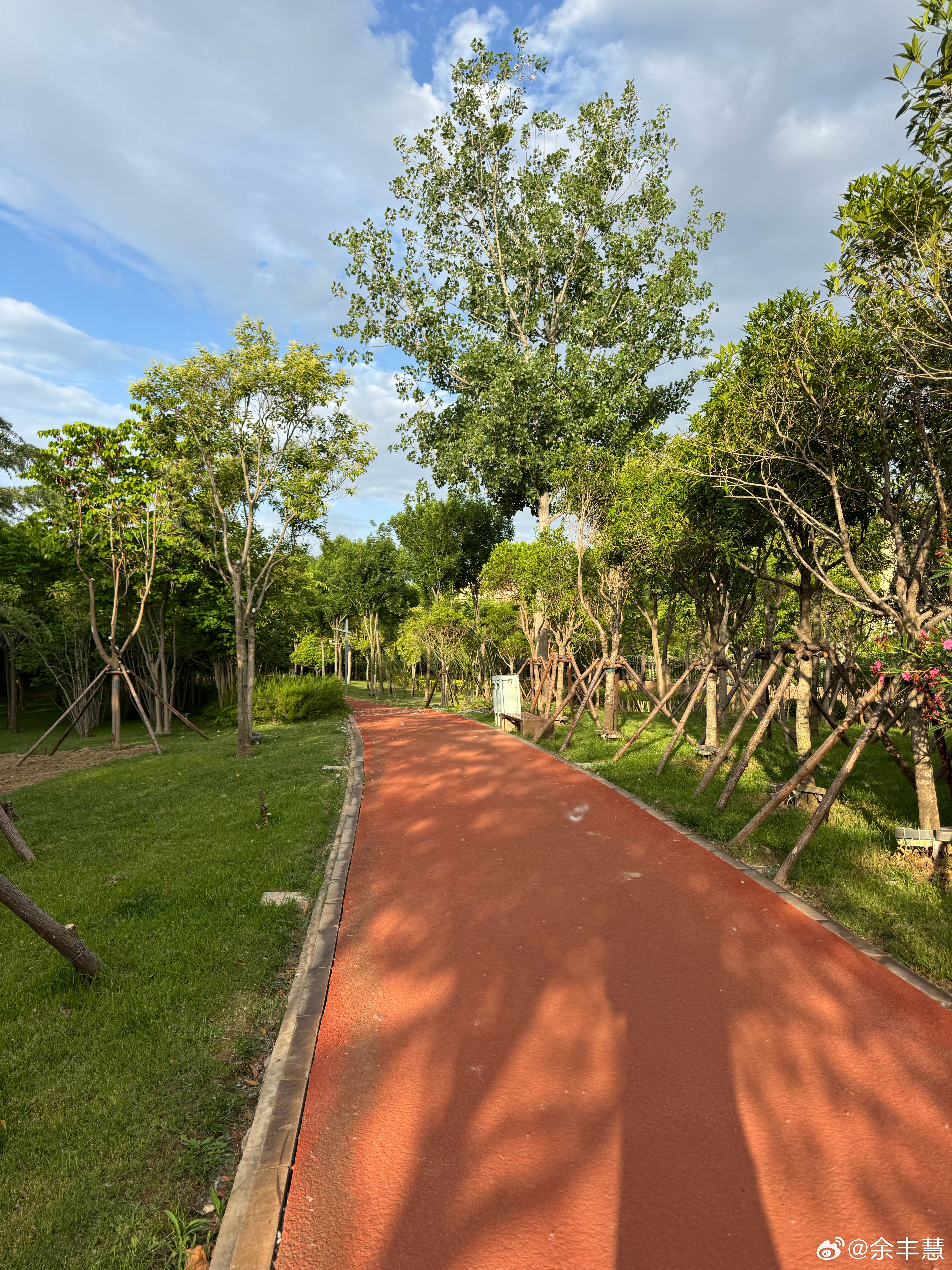 跑步打卡晨跑5公里打卡🏃配速8，步频167，心率110。不追求速度与成绩，只