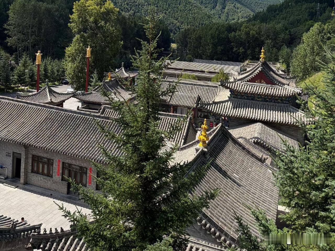 你发现了吗？有一些儿媳妇，连她自己也说不上来，为什么不喜欢自己的婆婆。作为婆婆