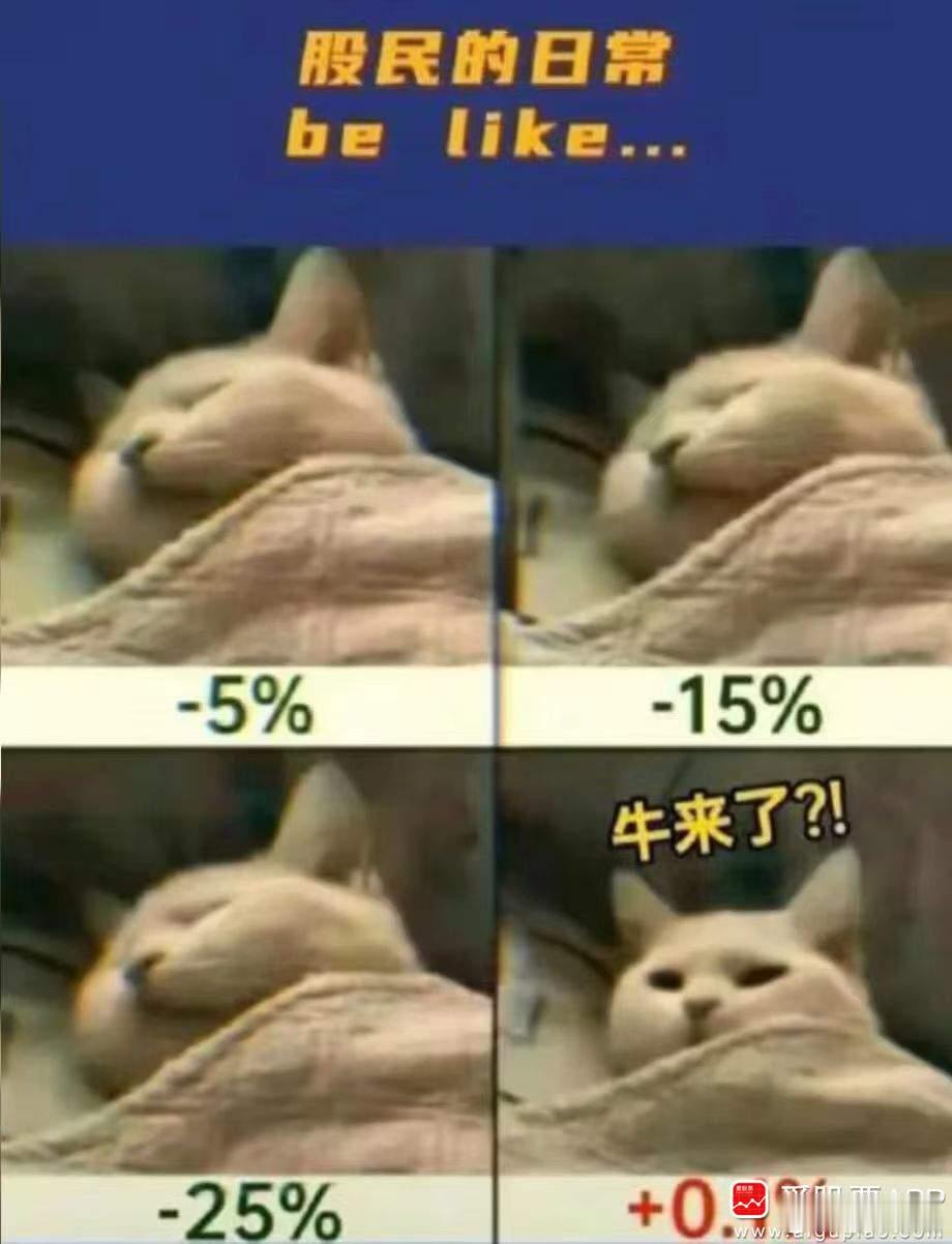 【说说今晚的业绩】五粮液:第三季度营收81.74亿元,同比-52.66%;净利润