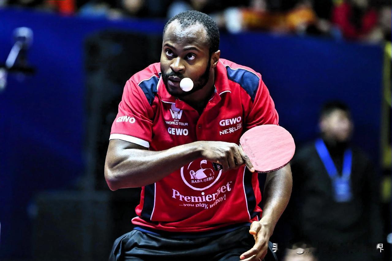 黑人从来没有拿过世界冠军的十大竞技运动：1、乒乓球2、羽毛球3、跳水4