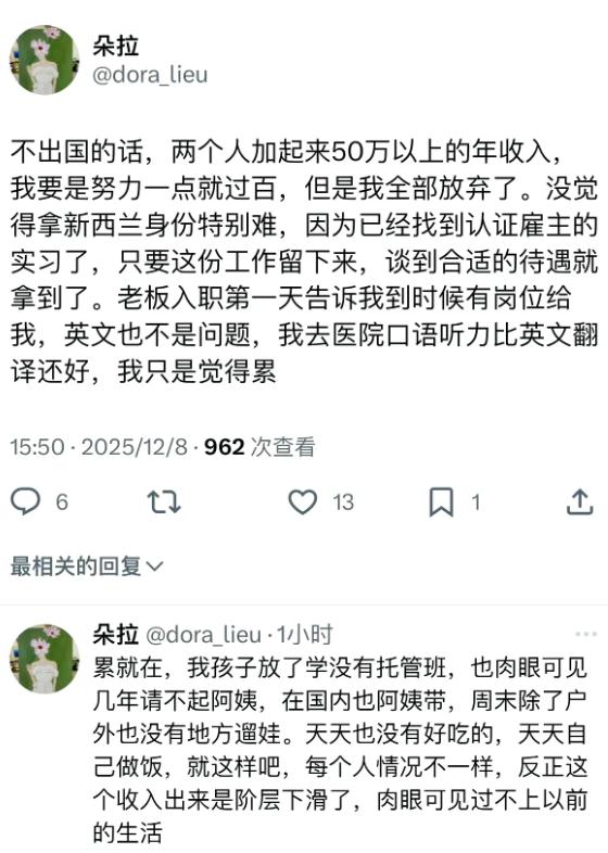 有时候真的搞不懂国内的这群中产，在国内年入几十万，各种抱怨，非要移民到国外过社会