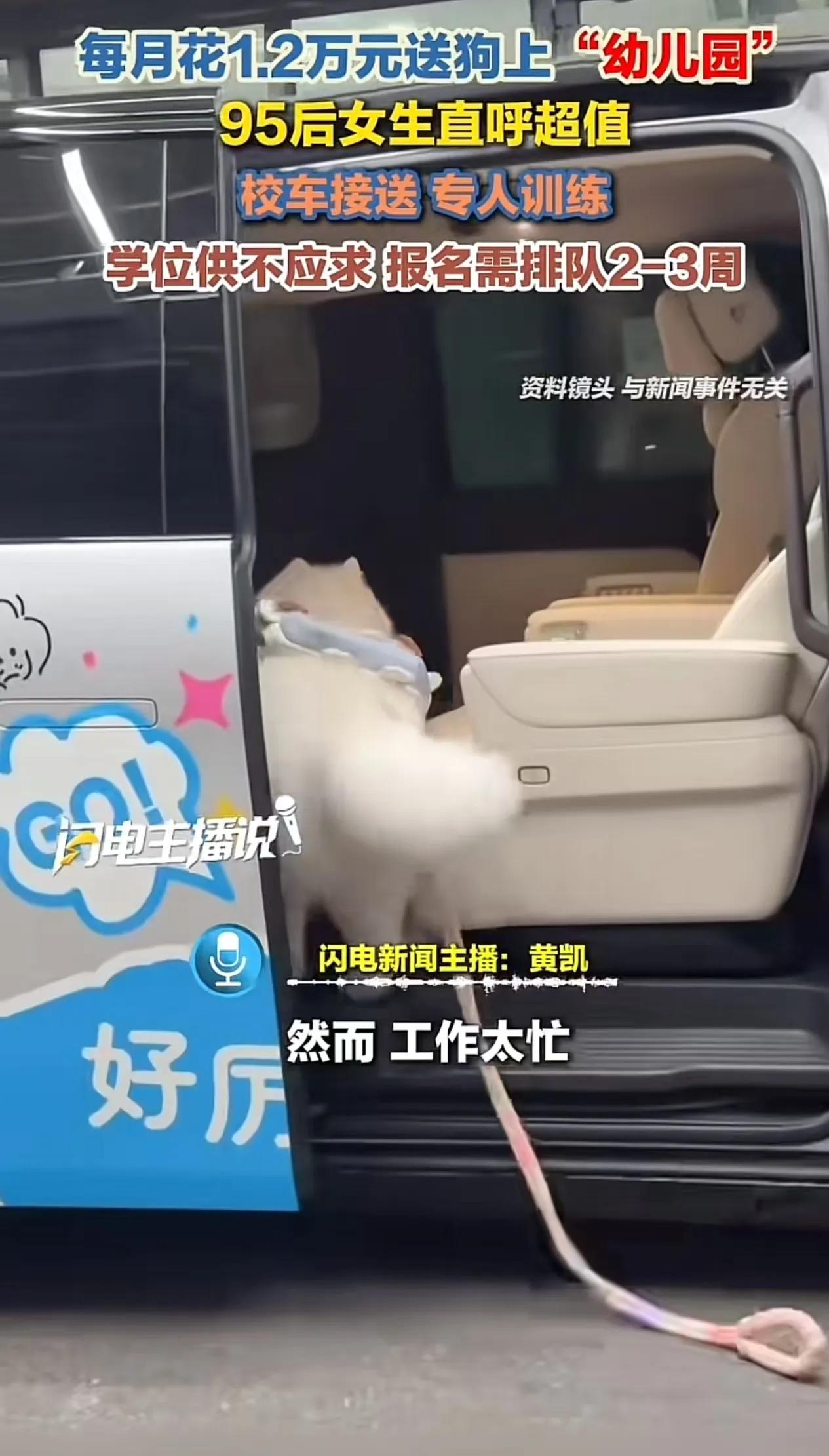 “人不如狗实锤了！上海icon95后女生每月砸1.2万送狗上‘贵族幼儿园’，还得