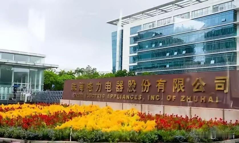 格力电器取消荷兰订单荷兰10月底突然加码对出口中国半导体制造设备的限制，对AS