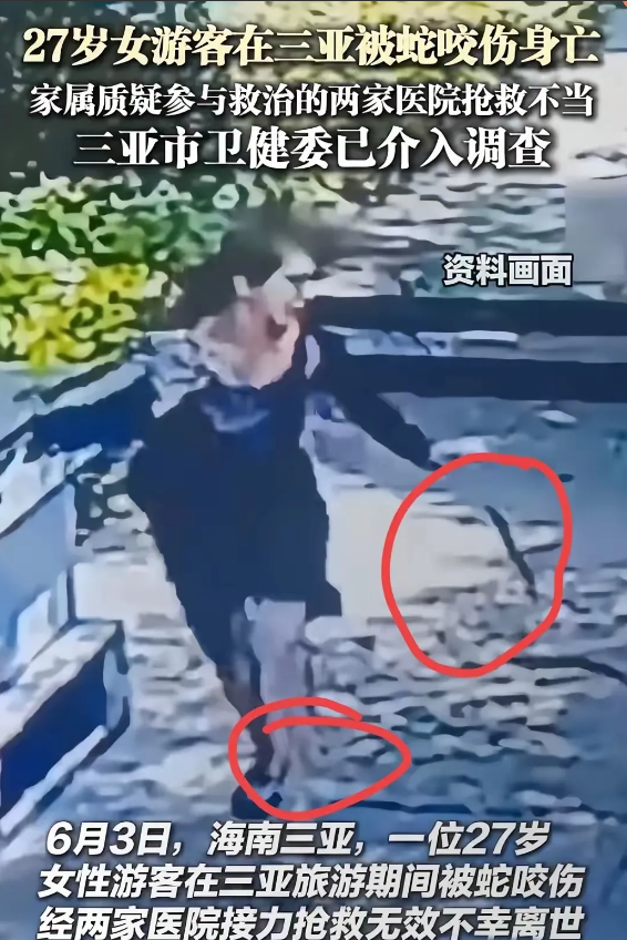 在三亚旅游被蛇咬那对情侣的男朋友，估计肠子都悔青了！不是因为他们被蛇咬耽误了
