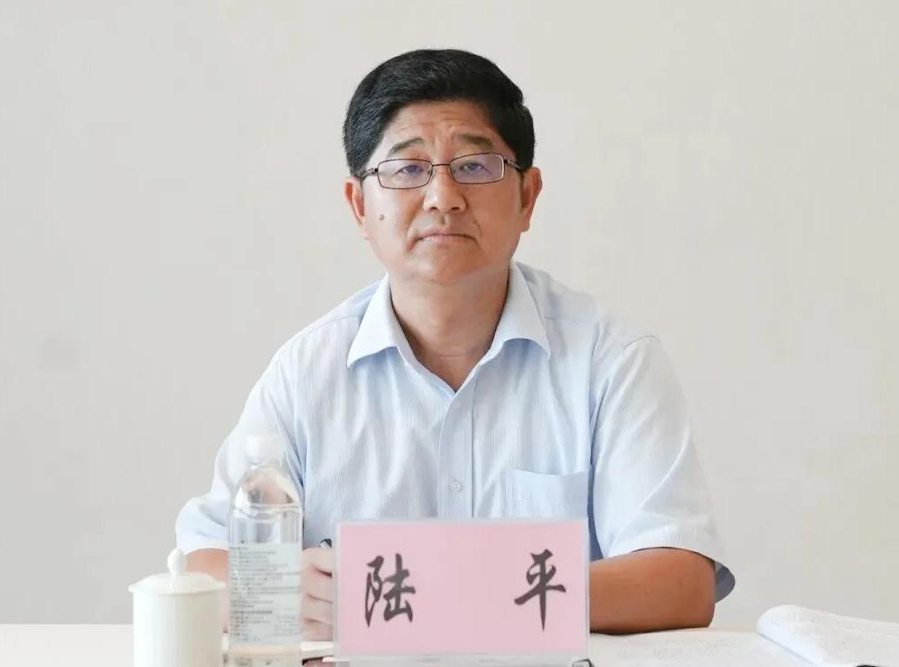 在云南省普洱市工作的陆平，是云南中医药大学的优秀校友。他1992年毕业于云南中医