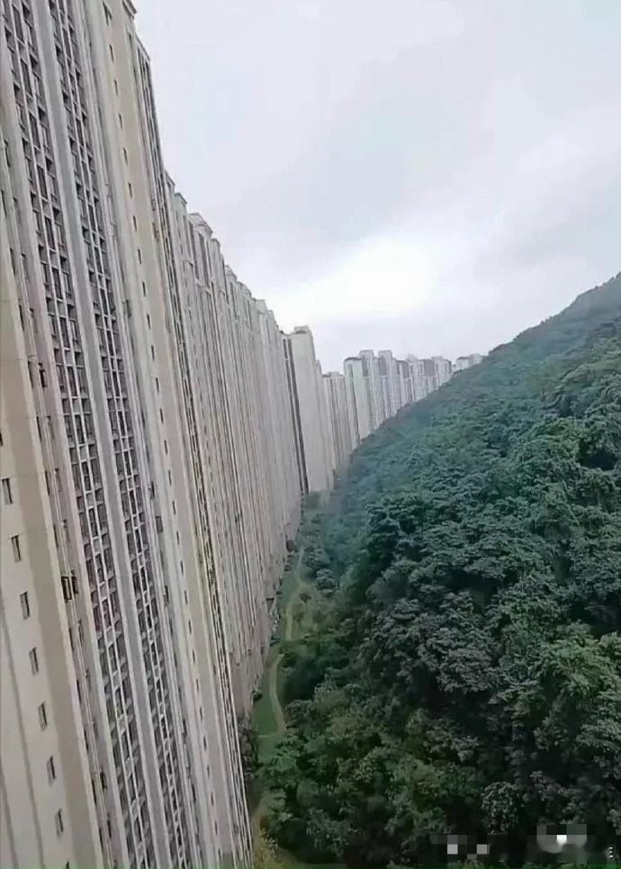 大山没想到这辈子会被挡住​​​