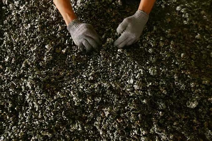 彻底大反转！全球集体锁矿，海外挖矿旧逻辑彻底作废，看懂才知是倒逼升级十年前