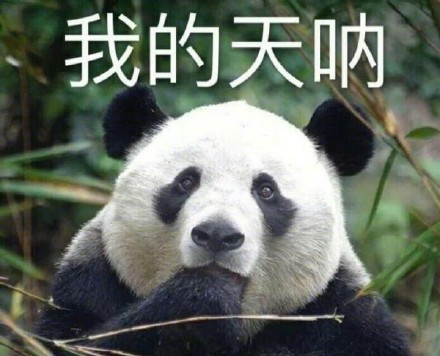 【海带竟然不是植物！那它是什么？】海带能光合作用且外形似叶，常被视作植物。但生物