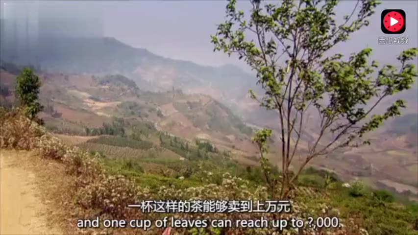 8290031651650420030.jpg?id=0