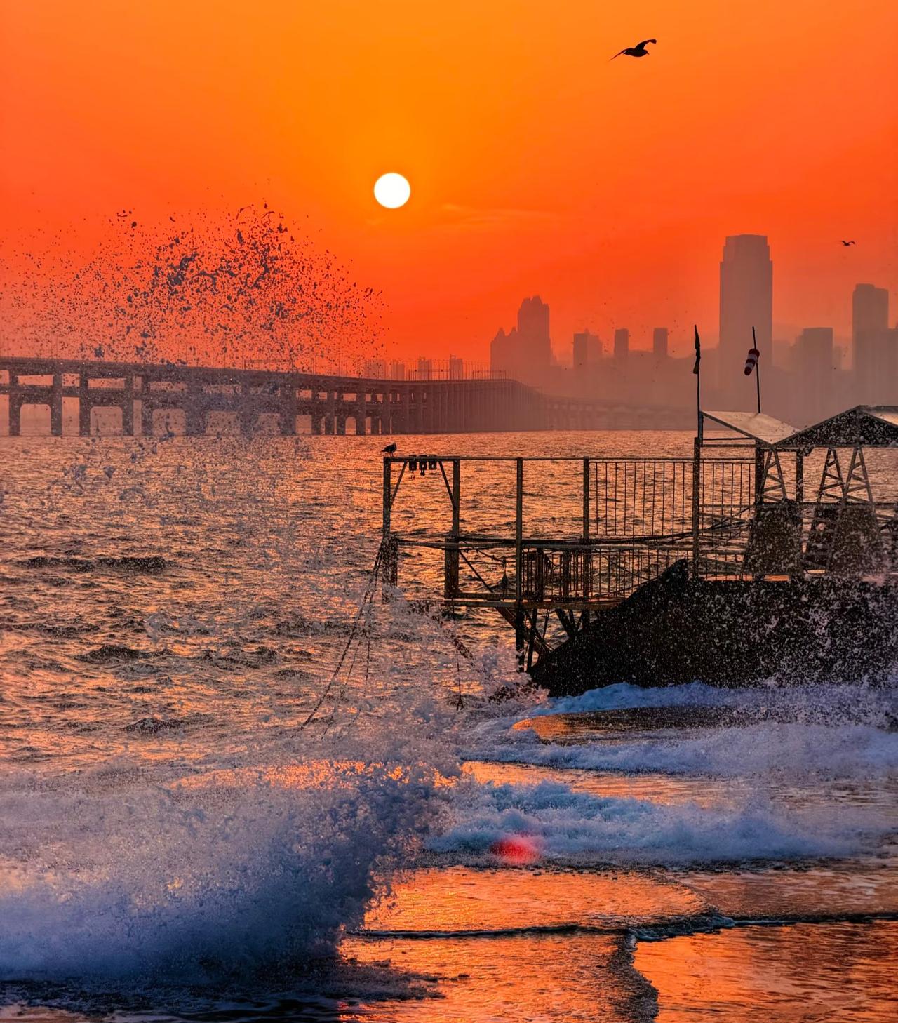 大连海边落日真的太美了！有时间一定要来大连看一次日落保证你不虚此行和朋友从
