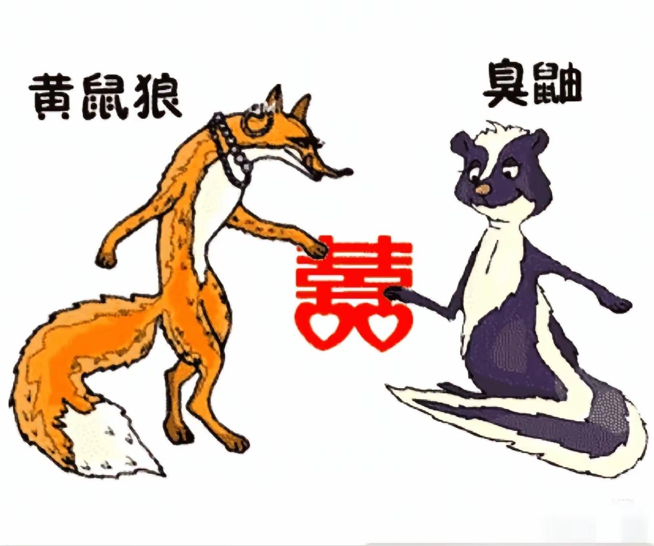 趣味运动会，成语玩命猜。图文并茂间，行云流水恋。[玫瑰][玫瑰][玫瑰]