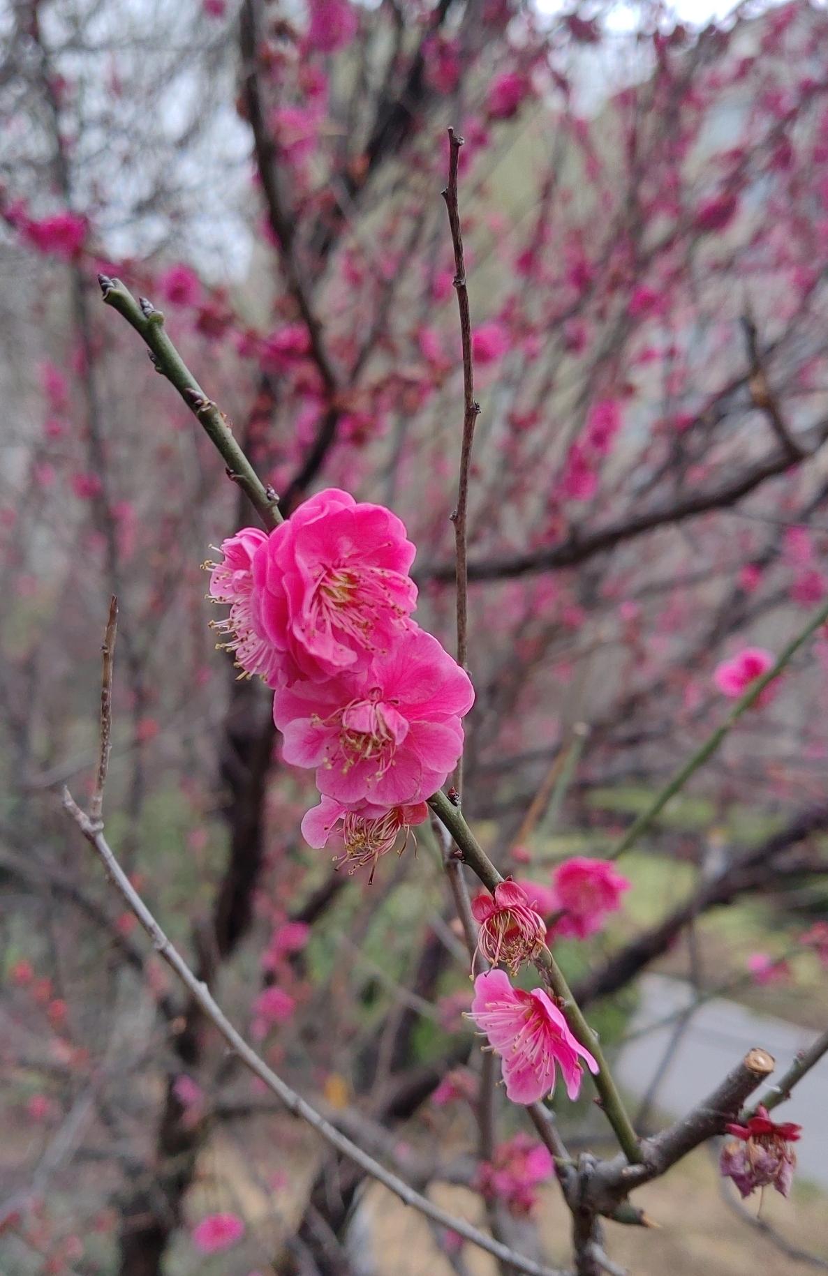 普通干部距离退休还有三、四年时间，最好的状态是工作该干照常干，不敷衍了事，但绝不