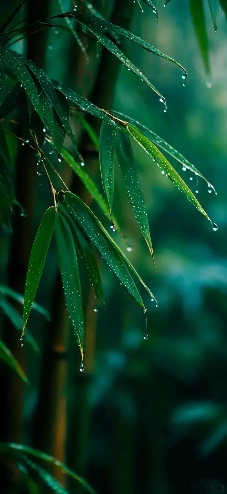 翠叶凝珠藏清夏，一林绿意慰风尘～寻美河南