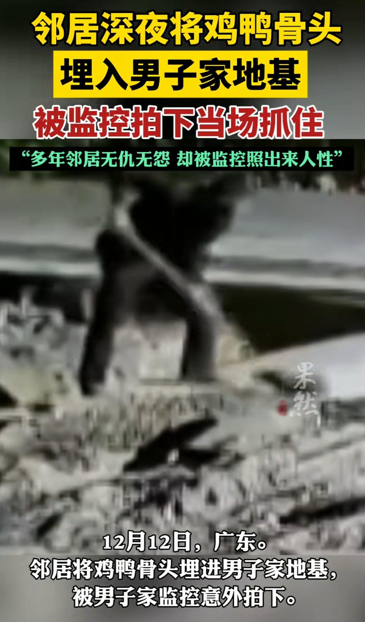 “坏到骨子里！”广东，一男子查看监控，惊讶的发现，邻居竟然在月黑风高夜偷偷把鸡鸭