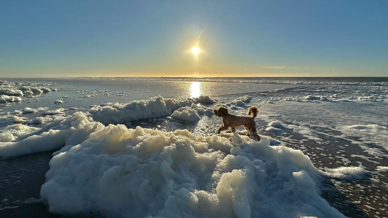 宇宙之外，还有一个安放灵魂的宇宙吗？概言之，有三个宇宙，而且已经证实两个。卡