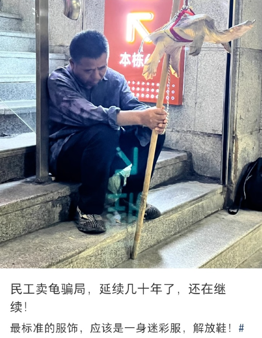 民工卖龟骗局，延续几十年了，还在继续！