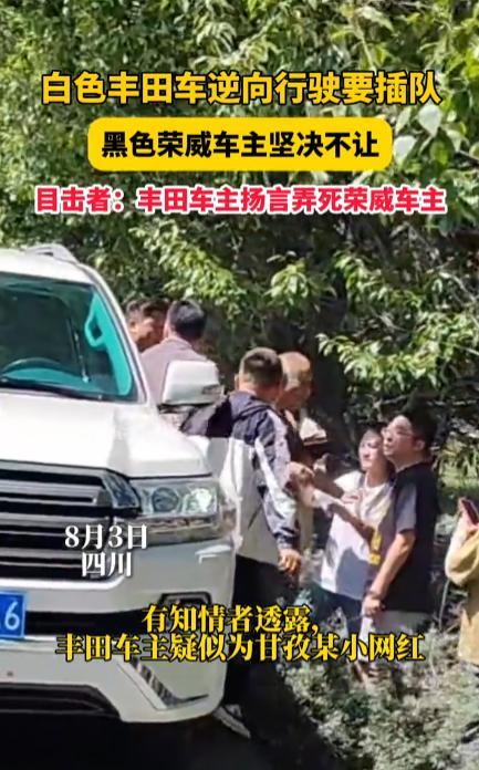 “严查到底！”8月3日，四川，一辆国产车在路上正常行驶时，突然出现一辆大型日本越