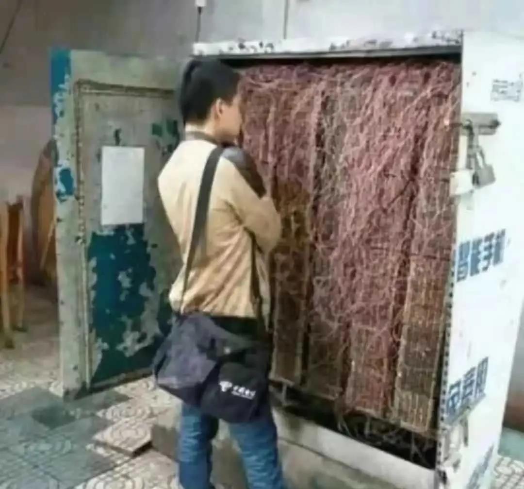 ‬前人栽树，后人乘凉