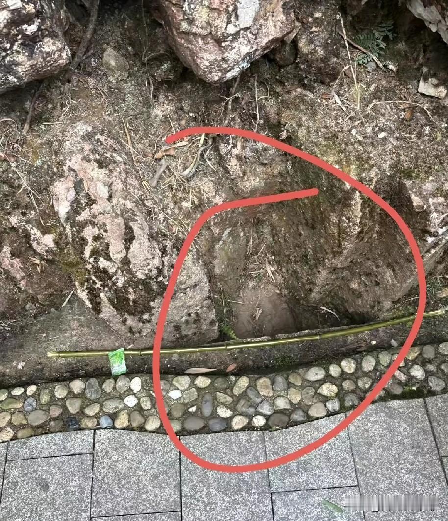 广西平南，大年初三一个10岁的孩子跟着家人到北帝山景区爬山。没想到，从栈道内