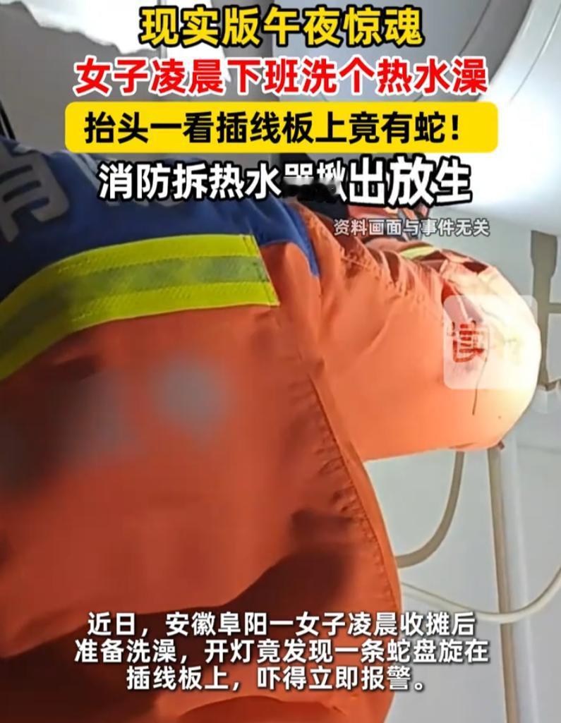 安徽阜阳，女子凌晨回到家后准备洗澡睡觉，谁知刚进浴室打开灯，却发现拆线板上有团黑