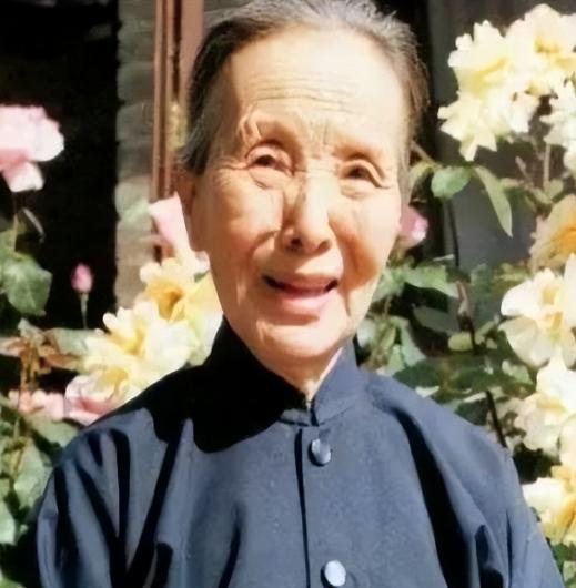 1997年，冰心长子趁妻子出国，把20岁的小女友带回家过夜。后来，为了分割房