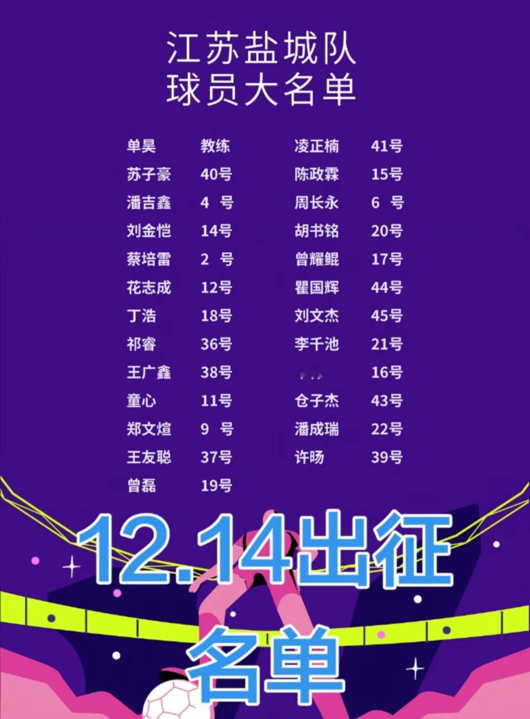 2025江苏盐城队球员大名单
