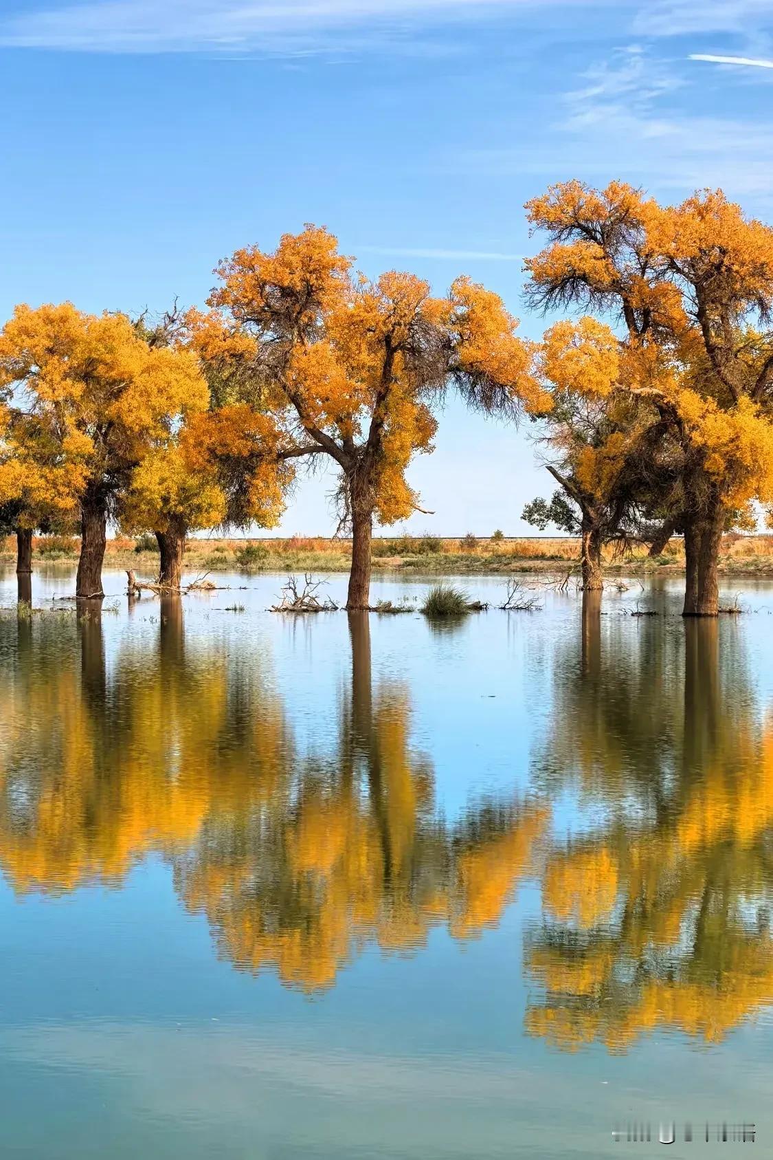 复旦大学钱文忠教授说："人一生的寿和粮都是有定数的，瘫痪在床能吃但不能动的，