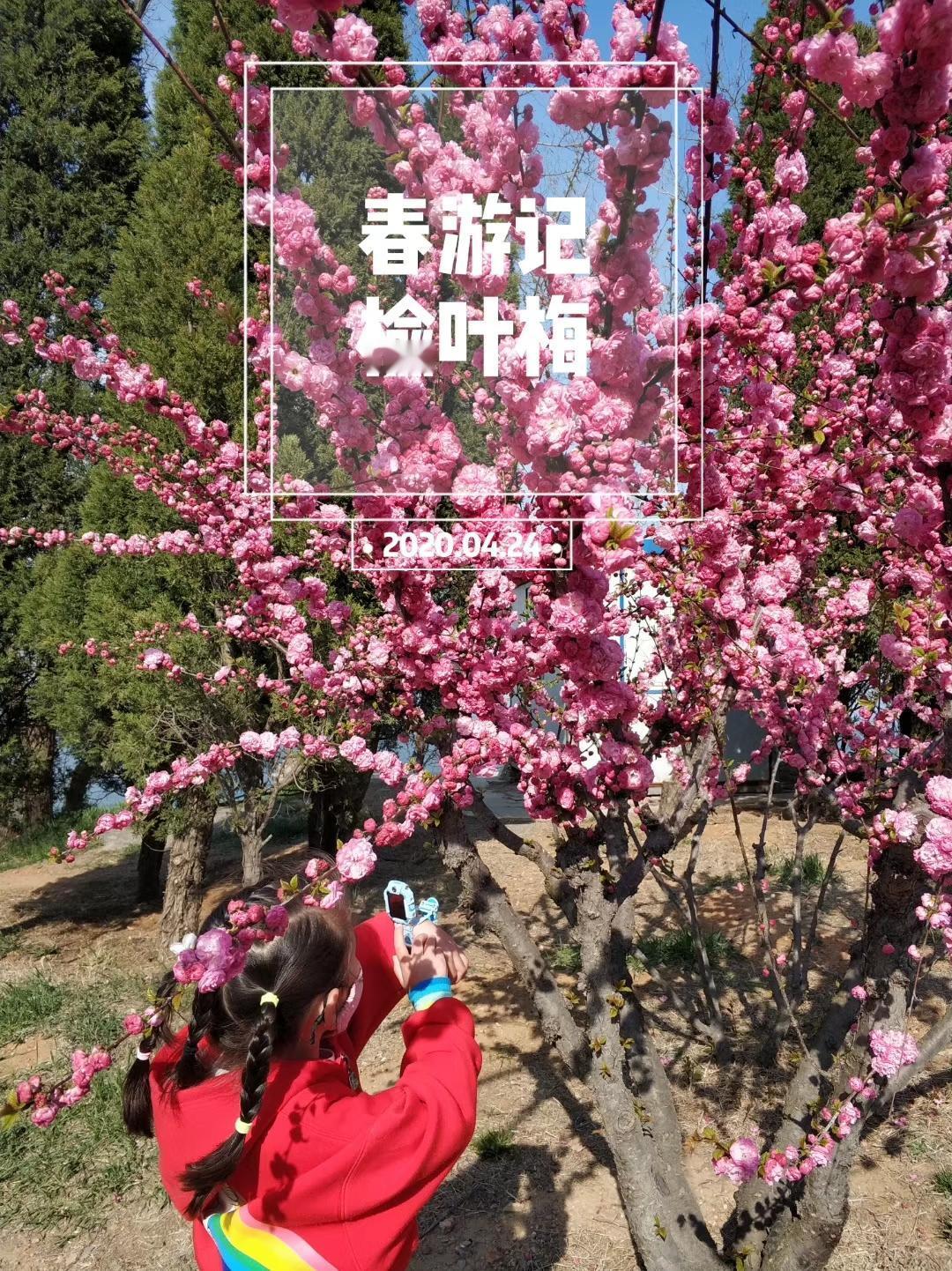 假期Day7/8的第三次徒步[墨镜]这个春天，我们把徒步途中最美风景的日期刚