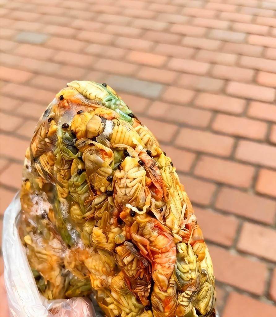 有人知道这是什么吗？