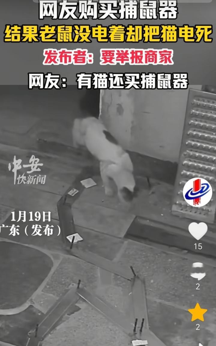 有猫还买捕鼠器？广东，网友在网上买了一个捕鼠器放在了家里，结果老鼠没有捕到，反而