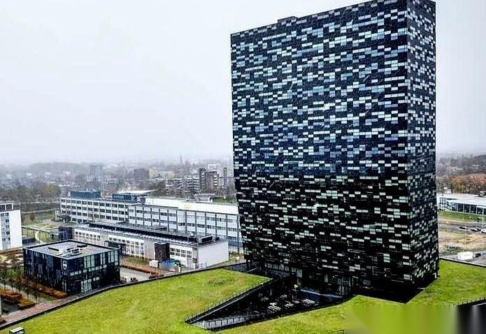 我今天算是开了眼了。你怀疑一批人正在把公司往死里整，所以你决定启动调查。好，