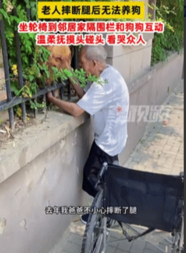 好心酸！江苏，一个大爷喜欢养狗，但是因为摔断腿很久都没有痊愈，所以无法养狗，万万