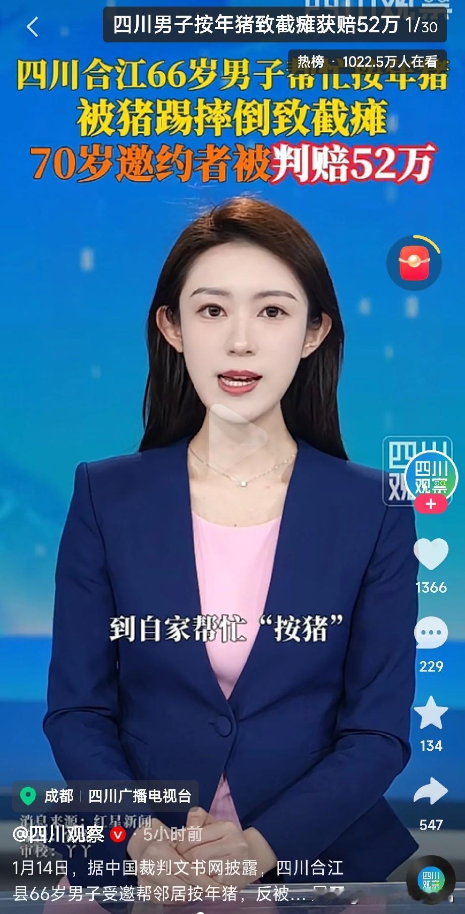 最近按年猪火遍全网，重庆合川女孩呆呆家的杀猪宴都上热搜了，但危险真不是闹着玩的