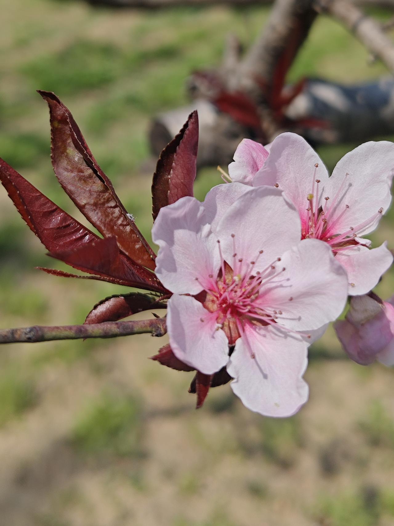 不要好为人师，非常喜欢这句话，一定要克制自己纠正别人的欲望，你改变不了别人，收起