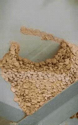 真是质量第一[赞]